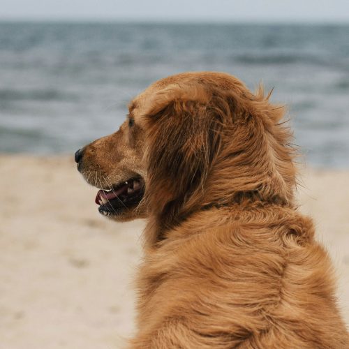 andrew-spencer-1FNEFQzVXNM-unsplash